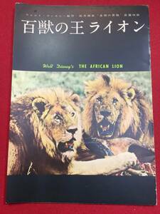 08352『百獣の王ライオン』A4判パンフ　ジェームズ・アルガー　ジェームズ・アルガー　ポール・Ｊ・スミス