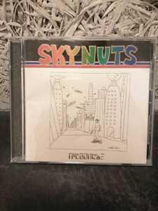 かせきさいだぁ sky nuts CD アルバム