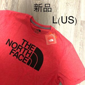 THE NORTH FACE ビッグロゴ ハーフドーム Half DOME 半袖Tシャツ ロゴTシャツ