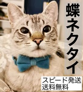 【新品】猫・犬・小動物 首輪 蝶ネクタイ リボン チョーカー