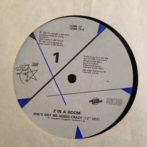 12inchレコード 2 IN A ROOM / SHE'S GOT ME GOING CRAZY