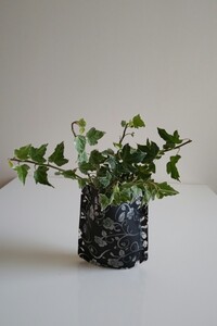 アイビー 観葉植物 インテリア 小物 飾り グリーン 癒し 花びん 花器 送料無料