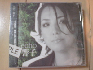 echo／響子-hibikiko- 新品　未開封　難有