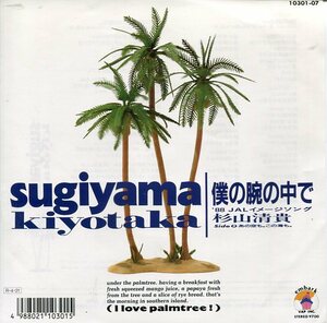 即買　EP盤　杉山清貴　僕の腕の中で／あの空も。この海も。