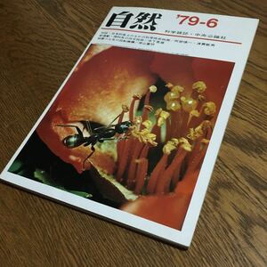 送料込☆科学雑誌 自然 1979.6 対談・日本的風土のなかの科学技術映画/阿部慎一・渡貫敏男 他☆中央公論社