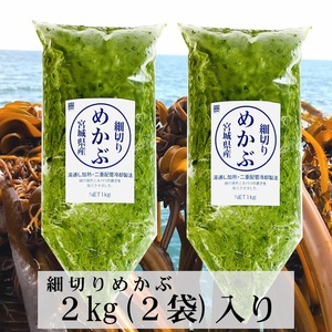 刻み めかぶ (湯通し)2kg（2袋） 国産 (宮城県)【海藻を毎日食べよう！】お好みの味付けでお召し上がりください【冷蔵便】③