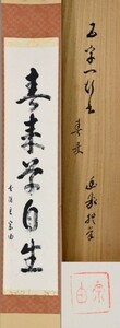 【志野流】蜂谷宗由「春来草自生」志野流十九代家元 共箱 茶道 茶人 茶道具 掛け軸 一行書 幽求斎 枩隠主 古美術 【真作】 y91602871