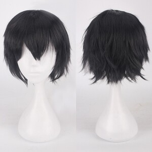 【ブラック】コスプレ ウィッグ ショートボブ ウィッグ かつら フルウィッグ ブラック メンズウィッグ DVD 黒