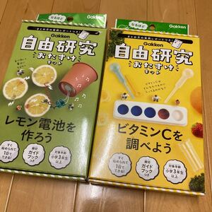 学研 小学生 夏休み 自由研究キット 子供