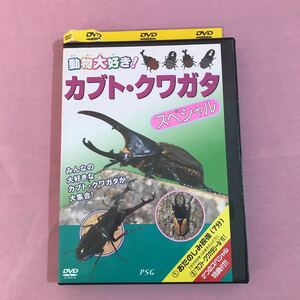 A20 動物大好き！カブト・クワガタスペシャル かっこいいカブト・クワガタがせいぞろい レンタル落ち