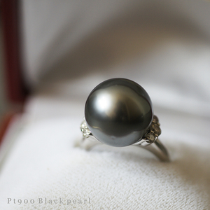 Pt 900 大粒 黒真珠 14mm 天然 ダイヤモンド 0.34ct 10.3g 12号 レディース アクセサリー リング 指輪 本真珠 ブラック パール プラチナ