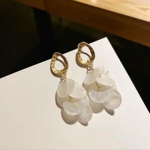7貝殻ピアス
