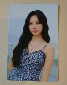 DREAMCATCHER ジユ JiU 3 Summer Holiday フォトカード トレカ BEcause