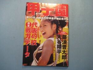 ab4634甲子園　週刊朝日増刊号　2013年8-15　第95回全国高校野球選手権記念大会　藤浪晋太郎・大谷翔平独占インタビュー