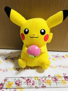 ◎ポケモン ぬいぐるみ ピカチュウ モモンのみ