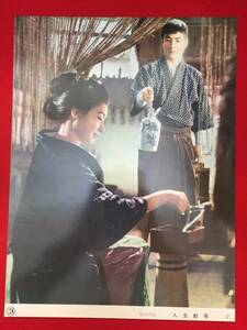 94197極美『人生劇場』未使用ロビーカード　高橋英樹　松原智恵子　水谷良重　滝沢修　宍戸錠　舛田利雄　尾崎士郎