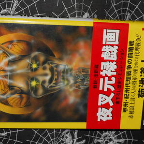新書 【 新説・忠臣蔵 夜叉元禄戯画 甲州・紀州代理戦争の前哨戦 】 菊池道人