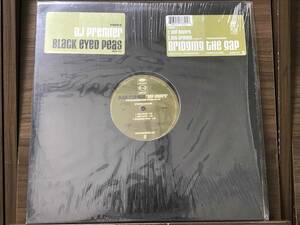 Black Eyed Peas - Bridging The Gap // DJ Premier