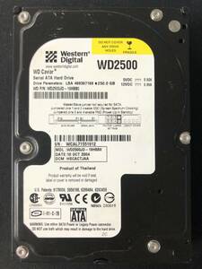 [ бесплатная доставка ] WD2500JD - 19HBB0 [Western Digital] [250GB] [3.5 дюймовый HDD] [SATA]