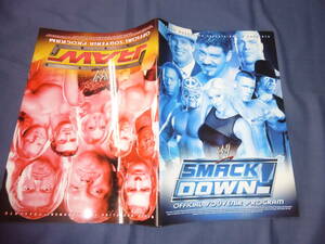 アメリカンプロレス/WWEパンフ RAW SMACKDOWN 2004年プログラム　ジョンシナ/ショーンマイケルズ/セイブル/ステイシー/リタ/トリッシュ