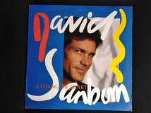 DAVID SANBORN デヴィッドサンボーン　　 チェンジオブハート　（1－25479　US盤）_画像1