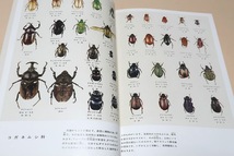 昆虫生態図鑑2・甲虫ほか・講談社写真大図鑑/安野光雅装幀/カブトムシはどんな所でどんな生活をしているかということを知る道案内の役目_画像5