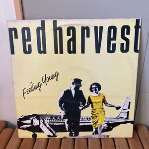 ネオアコ本掲載、レア、red harvest、12インチ、インディロック、ギターポップ、twee、rare