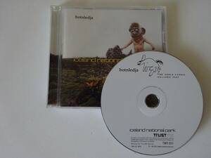 used CD / BOTNLEDJA ICELAND NATIONAL PARK / アイスランド インディー オルタナ【TRUST ME/TMR020】