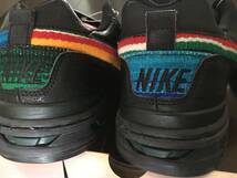 500足限定♪ NIKE p-rod ポールロドリゲス 2 ポール ロドリゲス PAUL RODRIGUEZ ナイキ メキシカン 3 SB dunk_画像7