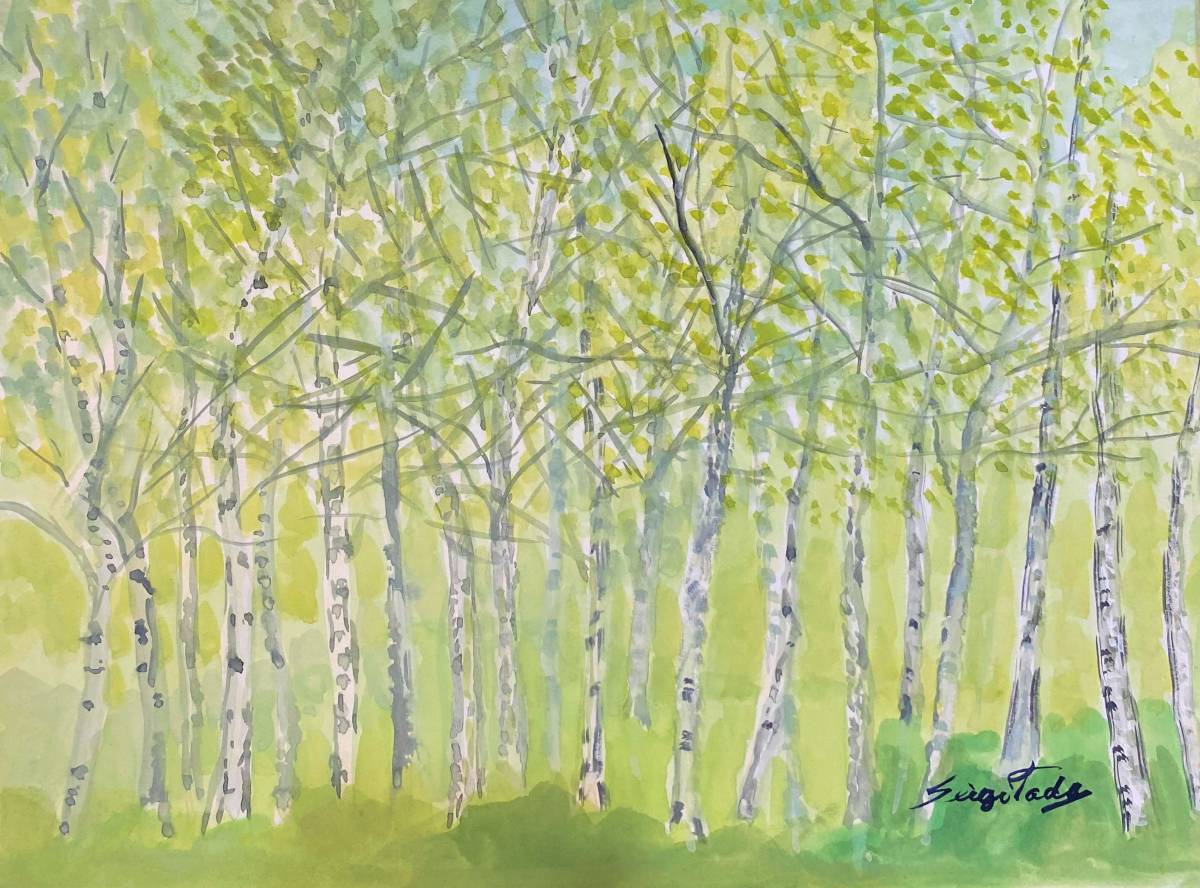 Bosque de abedules blancos Yachiho de Haruyoshi Tada, Dibujado a mano y autografiado., certificado, Viene con un marco de alta calidad., envío gratis, Cuadro, acuarela, Naturaleza, Pintura de paisaje