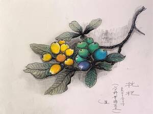 Art hand Auction Susumu Sekiguchi Loquat, Hand-drawn and autographed, certificate, Comes with a high-quality frame, free shipping, Artwork, Painting, Pastel drawing, Crayon drawing