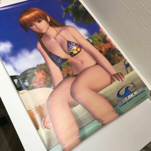 refle● DEAD OR ALIVE Xtreme Beach Volleyball 予約特典ポスター(35)