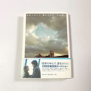 【小説】世界の中心で、愛をさけぶ/片山恭一 (著者)
