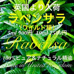 英国製ラベンサラワイルド精油5ml