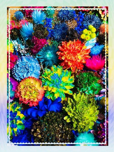 在庫処分(加工・ソーラーフラワーBOX/塗ラメ付)加工 ソーラーフラワー カーネーション 薔薇 ジニア 菊 (値下げ不可)