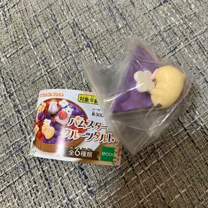ハムスターとフルーツタルト ブルーベリーとキンクマB