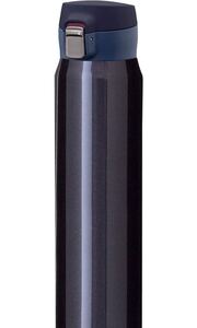 真空断熱ボトル 800ml