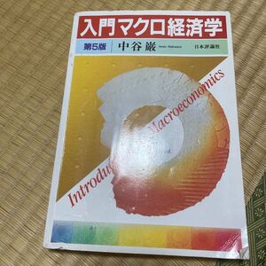 入門マクロ経済学