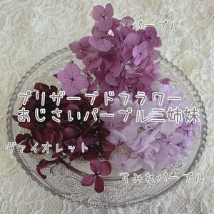 プリザーブドフラワー 紫陽花 パープルセット ハーバリウム花材 キャンドル ネイル レジン アクセサリー