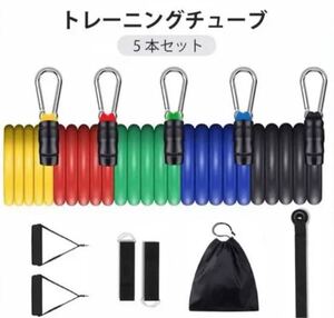 大特価 トレーニングチューブ 筋トレ エクササイズバンド ゴムバンド チューブ カラビナ