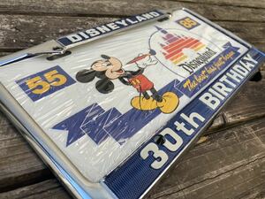  редкость редкий! подлинная вещь!30th Anniversary Disney Land рамка номерного знака plate комплект рамка для номера jdm usdm старый машина Lowrider 