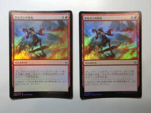 【MTG】★Foil　サルカンの浄化　日本語2枚セット　灯争大戦　WAR　コモン