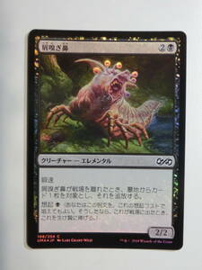 【MTG】★Foil　屑嗅ぎ鼻　日本語1枚　アルティメットマスターズ　UMA　コモン