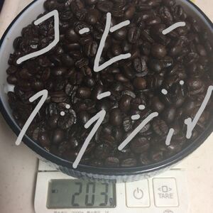 コーヒー豆 自家焙煎珈琲 ブラジル 200g フルシティ 中深煎り アイスコーヒー