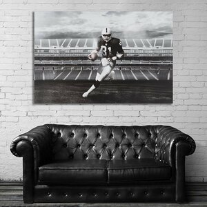 Raiders ラスベガス・レイダース 特大 ポスター 150x100cm NFL 海外 グッズ アメフト スーパーボウル インテリア 雑貨 絵 写真 大 4