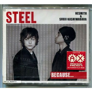 STEEL / Because・・・ ★未開封