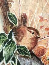 コールポート 鳥 ミソサザイ 飾り皿 絵皿 皿 ⑰ ウェッジウッド に統合 (1)_画像4