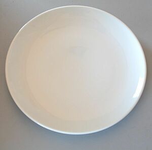 ディナー皿 ホワイト 大皿 yz07