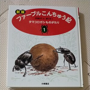 ファーブルこんちゅう記 タマコロガシものがたり