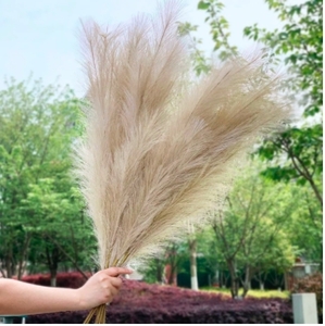 120/85 centimeter meter nature dry ... Lead bouquet human work bread Pas . fake plant flower bouquet equipment ornament wedding. equipment ornament therefore 6~10